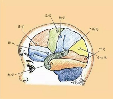 1536138958857207.jpg 微信图片_20180905171524.jpg