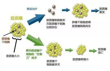 1536138976994753.jpg 微信图片_20180905171517.jpg