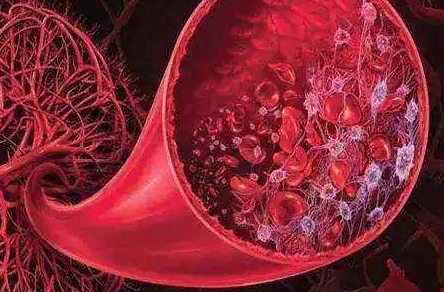 1543827851982064.png 35.png